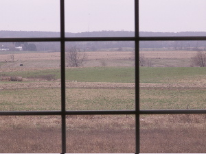 window
