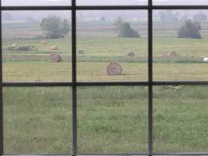 Window