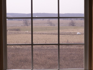 window