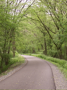 path